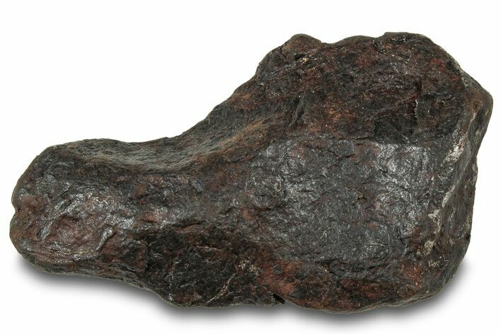 Canyon Diablo Iron Meteorite ( g) - Arizona #319596